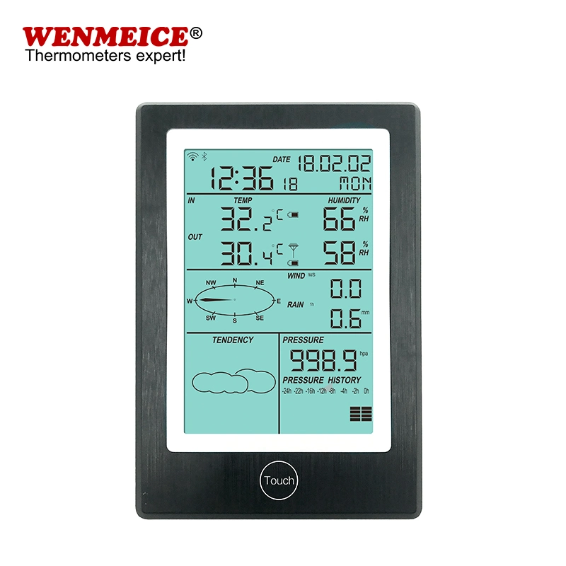 WiFi Version Professional Weather Station for Wind Speed Rainfall Air Pressure Temperature and Humidity