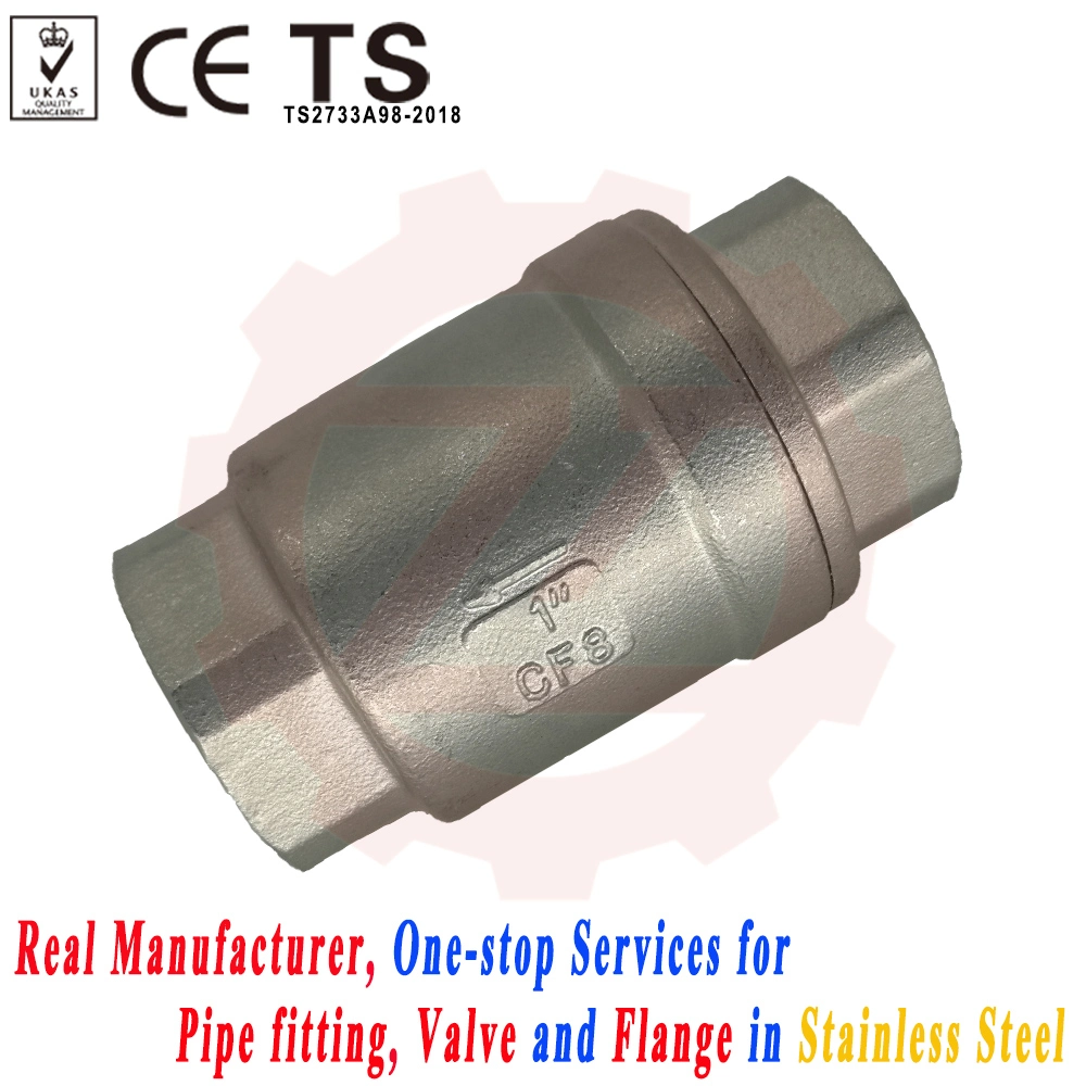 DN65 Stainless Steel Thread Lift Check Valve for Sump Pump