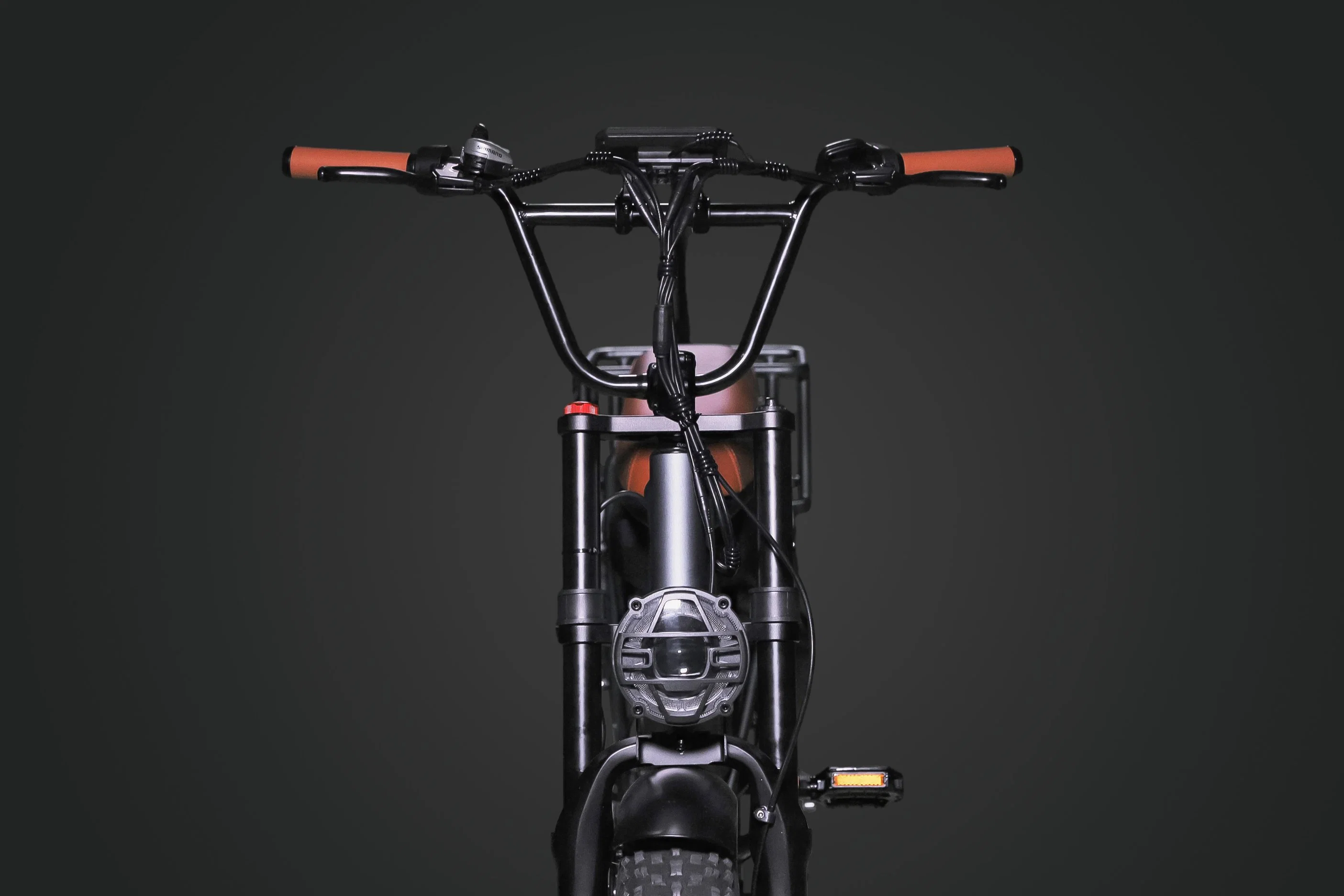 Chaud E Vélo de haute qualité de la Chine Fabricant 18,2 personnalisée ah vélo électrique 48V 1000W vélo électrique vélo de montagne