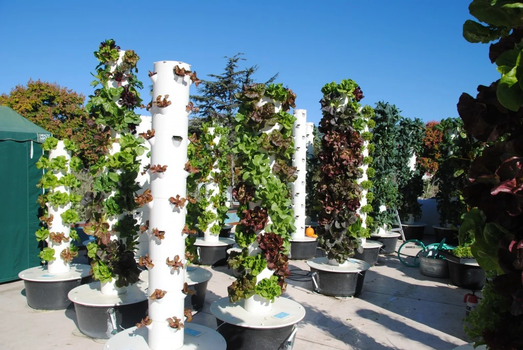 Nueva Agricultura invernadero hidropónico sistema Vertical creciente Home Garden Horticultura Dispositivo