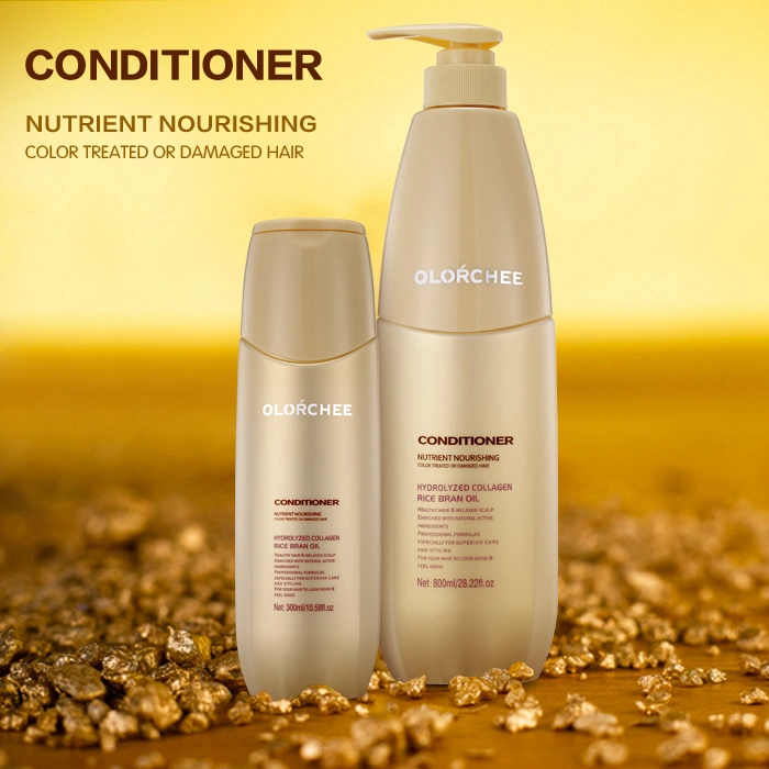 Professional OEM&ODM Special Formula Volumize Anti-Dandruff Nourishing&Repairing Anti-Grease Hair Shampoo