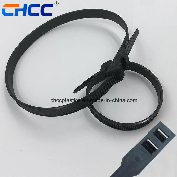 Double Head Double Locking Nylon 66 Self-Locking Cable Tie