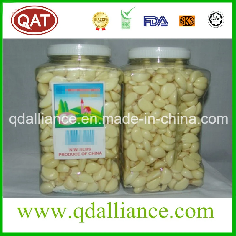 Top Quality China Frozen IQF Peeled White Garlic Cloves with Brc a Approved