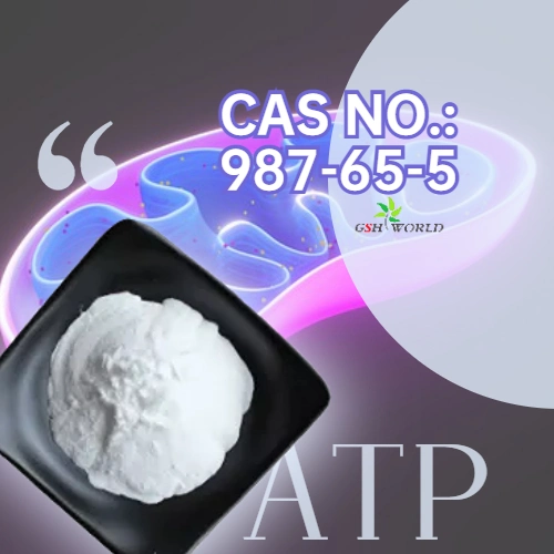 Adenosina trifosfato Disodio 99% pureza ATP CAS: 987-65-5