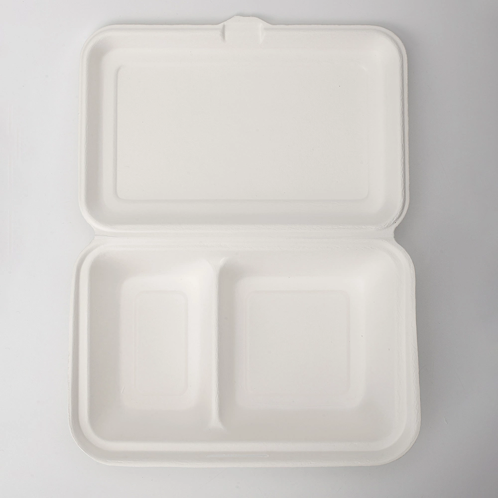 Biodegradable 9" X 6" 2-C Hinged Container for Takeout, Parties, Camping