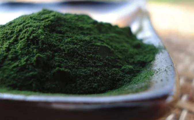 Chlorella Powder in Bulk/Chlorella Vulgaris P. E/ 50%Protein Chlorella Vulgaris Powder