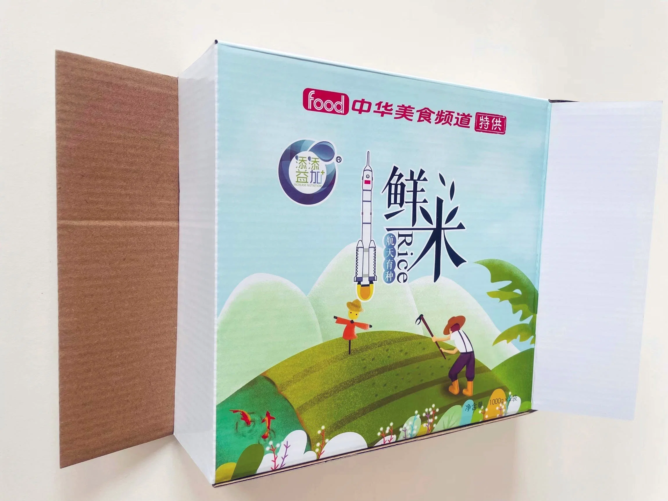 Custom Full Color Large Mini Disposable Corrugated Take out Folding Paper Food Packaging Box for Fresh Rice Gift Boxes