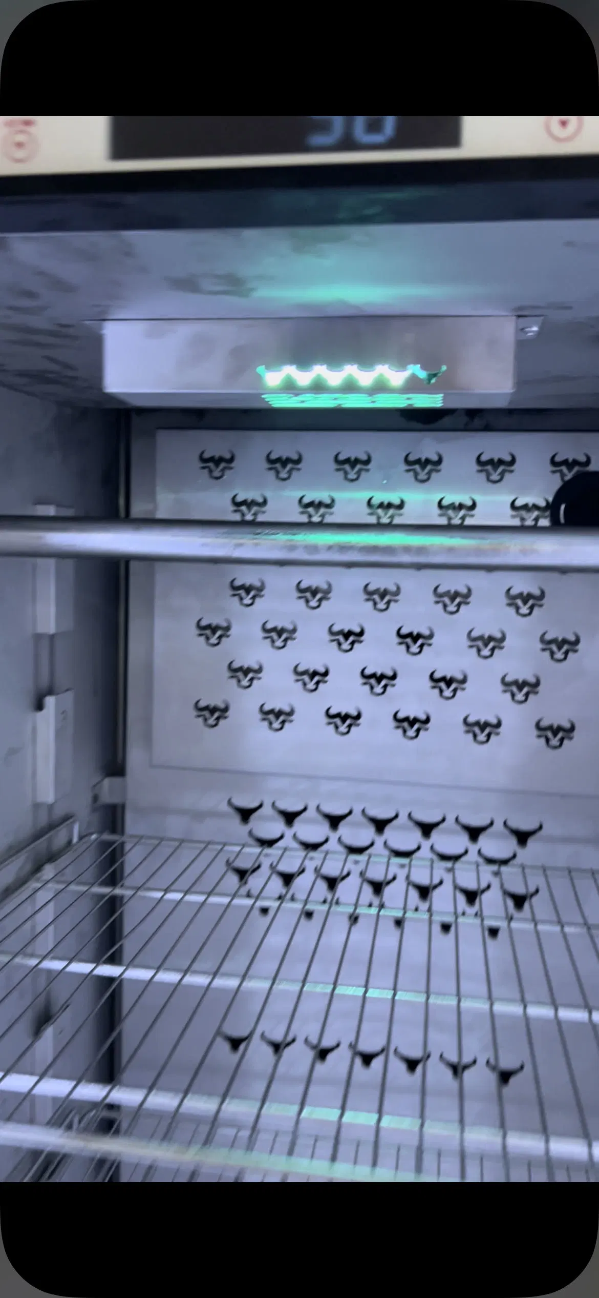 Maturing Fridges Energy Saving Beef Steak Beef Dry Aging Beef Meat Cabinet Aging Refrigerator