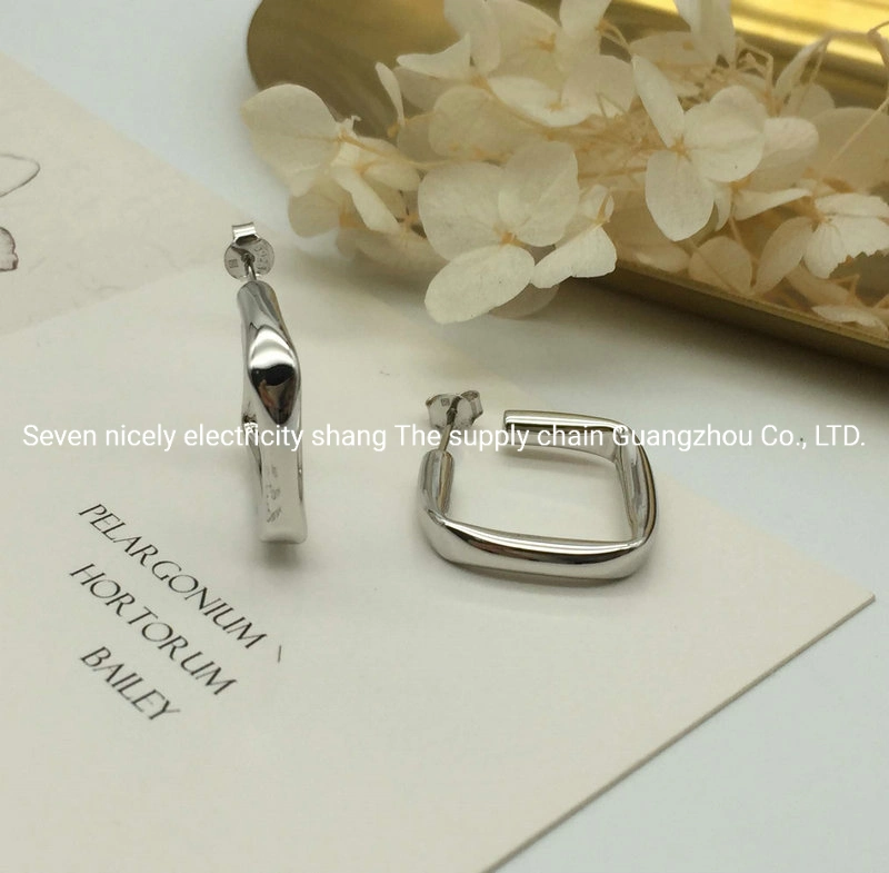 Аксессуары моды высококачественные 925 серебряные ювелирные изделия Оптовая женская равнина Подарок на серьги