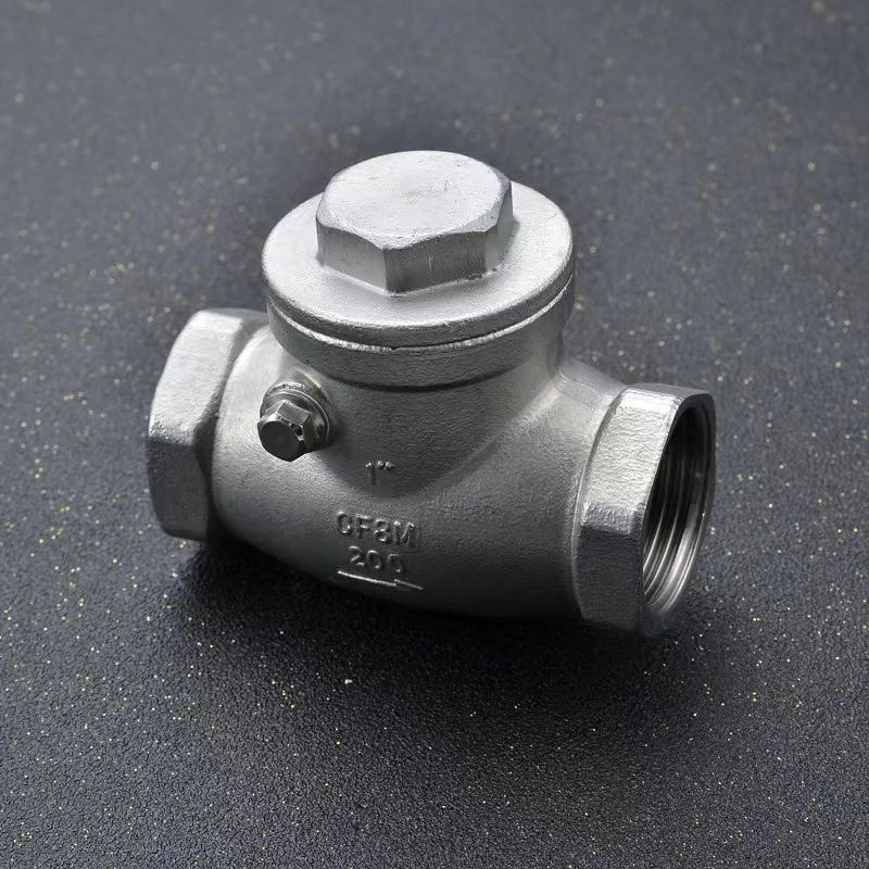 Wenzhou Bstv Manufacturer Stainless Steel Female Non-Return Swing Horizontal Check Valve with High quality/High cost performance 