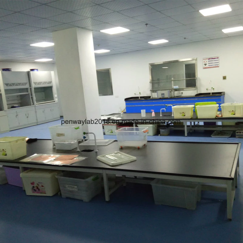 Used School Steel and MDF Lab Furniture Chemistry Lab Furniture