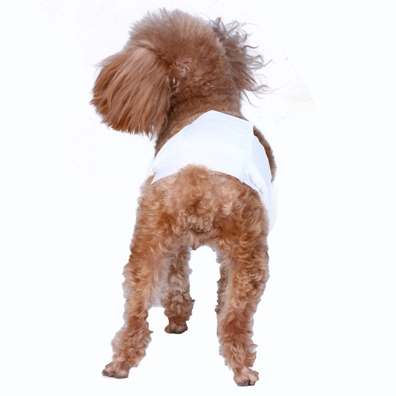 Produtos de limpeza personalizados para animais de estimação fraldas descartáveis para cães do Cãozinho masculino