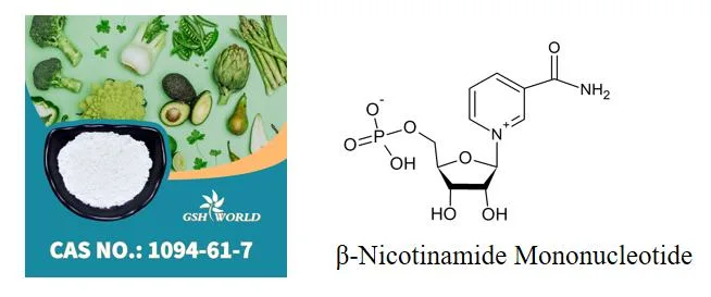 Suministro de la fábrica de envejecimiento Suplementos Nmn anti polvo en un 99% Nmn OEM