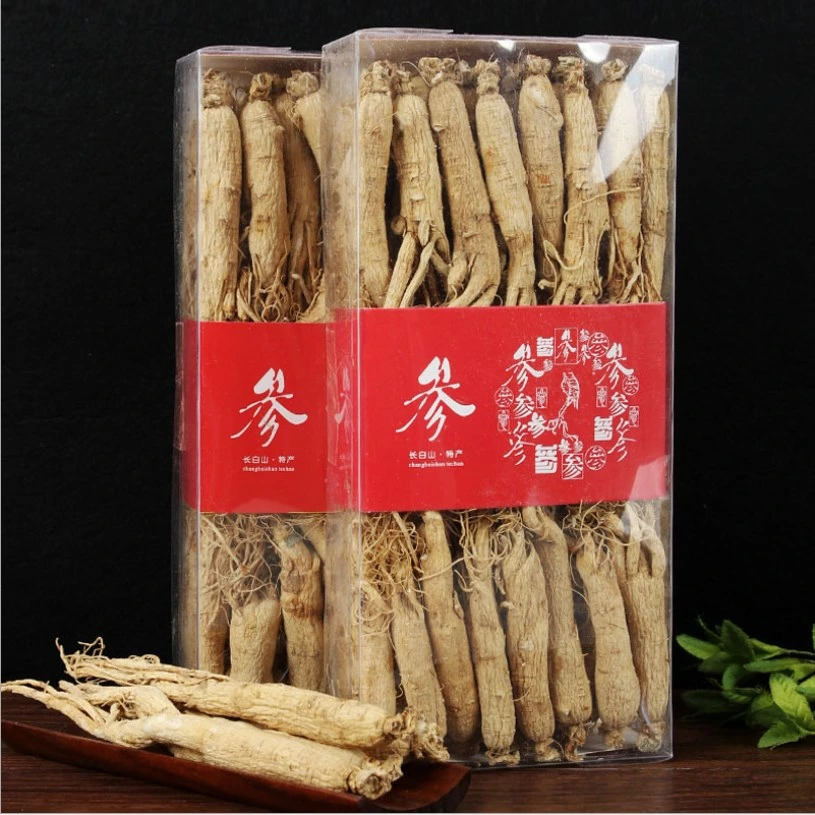 Großhandel Chinesische Kräutermedizin Getrockneten Ginseng