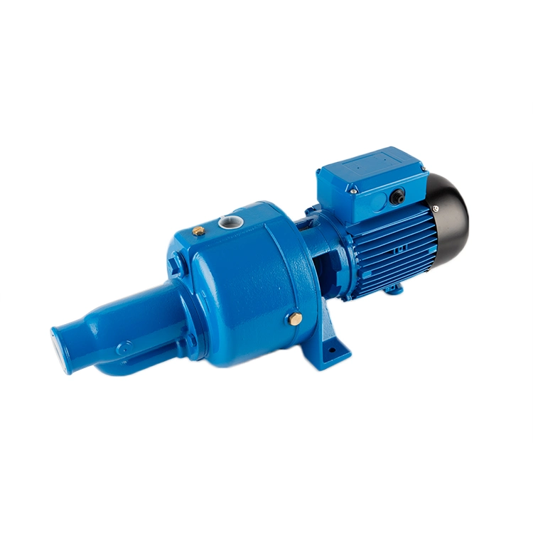 Cab Series Self Priming Deep Well Pumps 1.5HP 3HP Pump