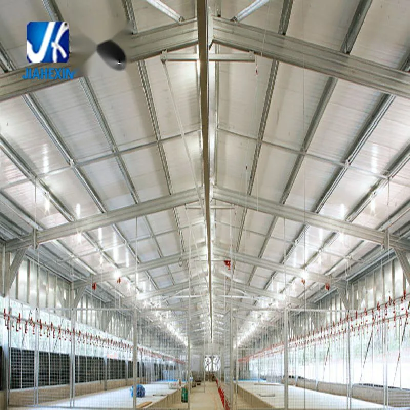 Steel Structure Construction Poultry House Chicken House