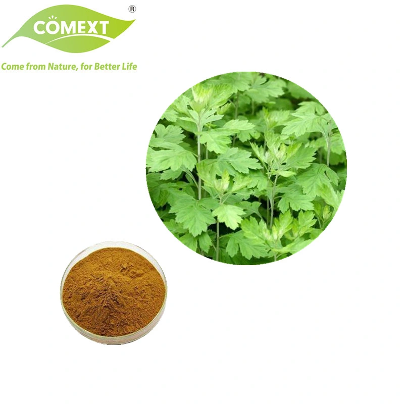 Comext Chinese Herbal Factory Dried Sweet Wormwood Herbs Artemisia Capillaris for Medicine Use