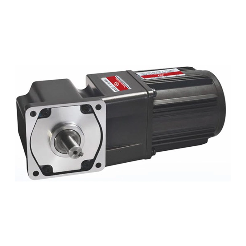 25W 30W 80mm AC Induction Gear Motor with Brake for Lifting Mixer