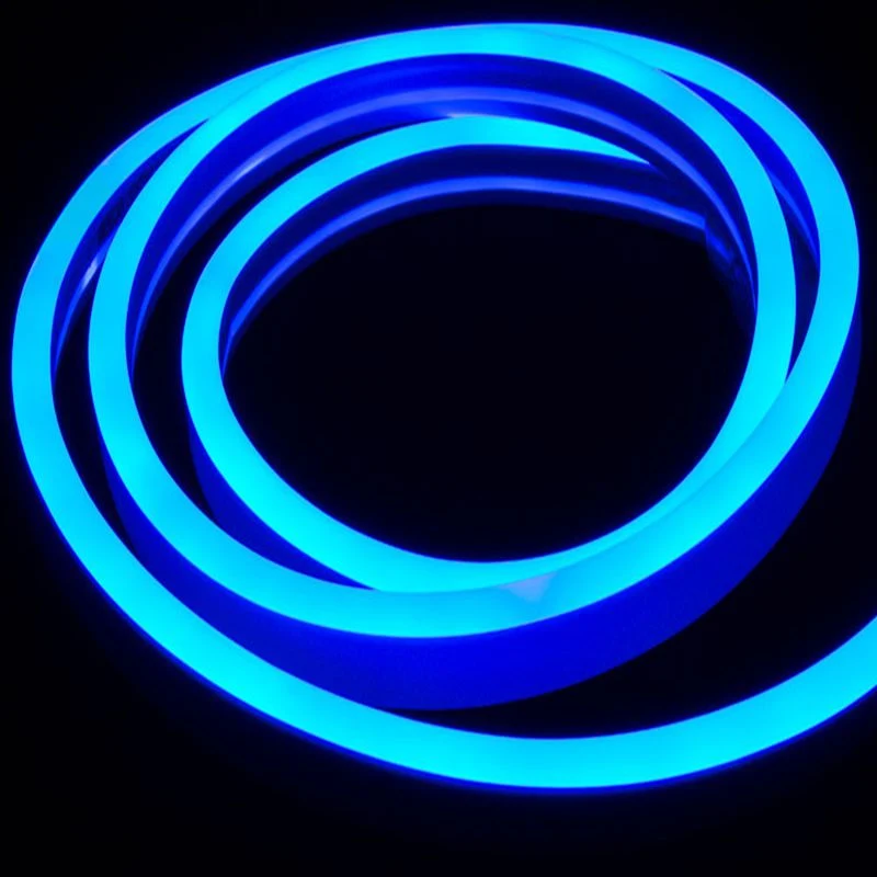 Outdoor IP68 Flexible LED 360 Degree Neon Tube Light Glow Christmas Building Patio Decoration