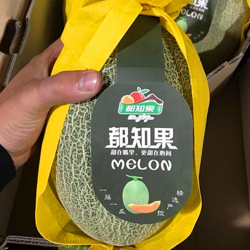 Le Melon Premium