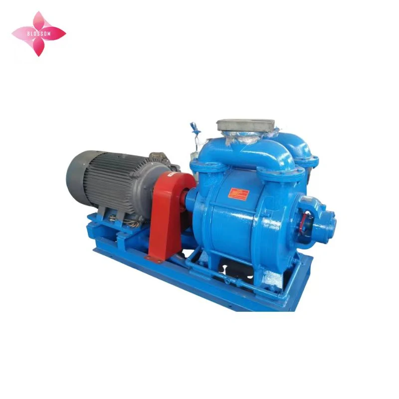 Manufacturer Sk Series Water Ring Vacuum Pump Sk Suction Car Water Discharge