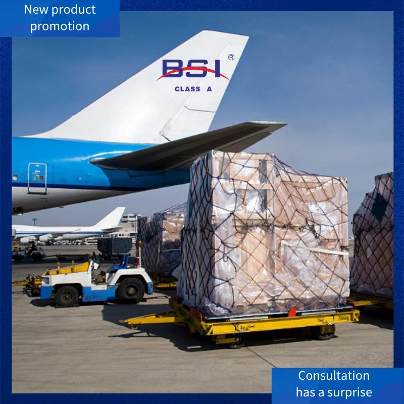 Shenzhen, China to The Saudi Arabia, Bangladesh, Nigeria, India, United States, Canada, Mexico Ali International Station 1688 Amazon Fba International Logistics