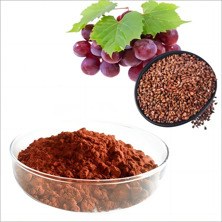 Grape Seed Extract 95% OPC (100% Natural) Plant Herbal Extract Powder Vitis Vinifera Food Additive Antioxidant Proanthocyanidins