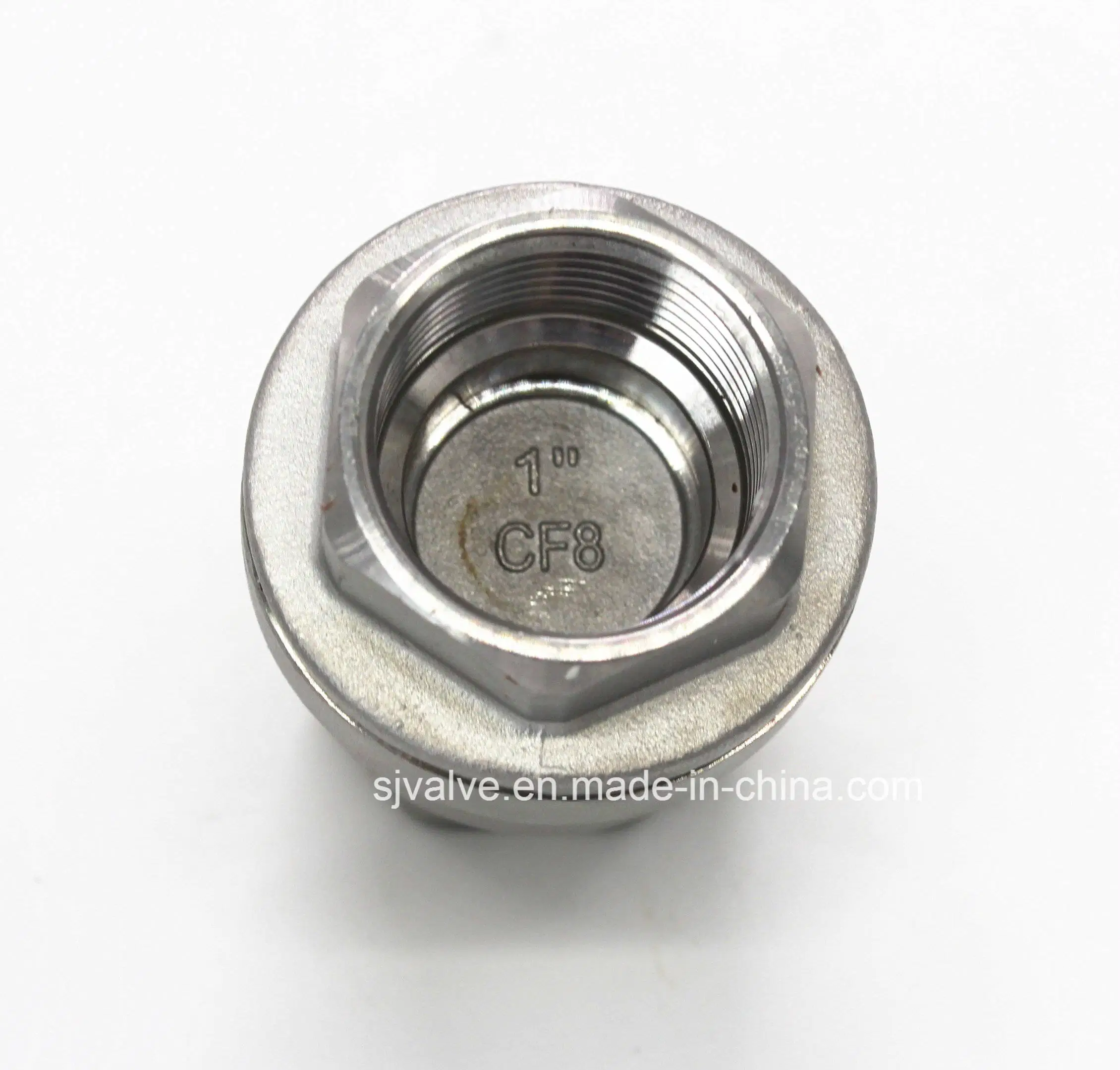 Hot Sales DN25 Stainless Steel 304 Spring Lift Check Valve