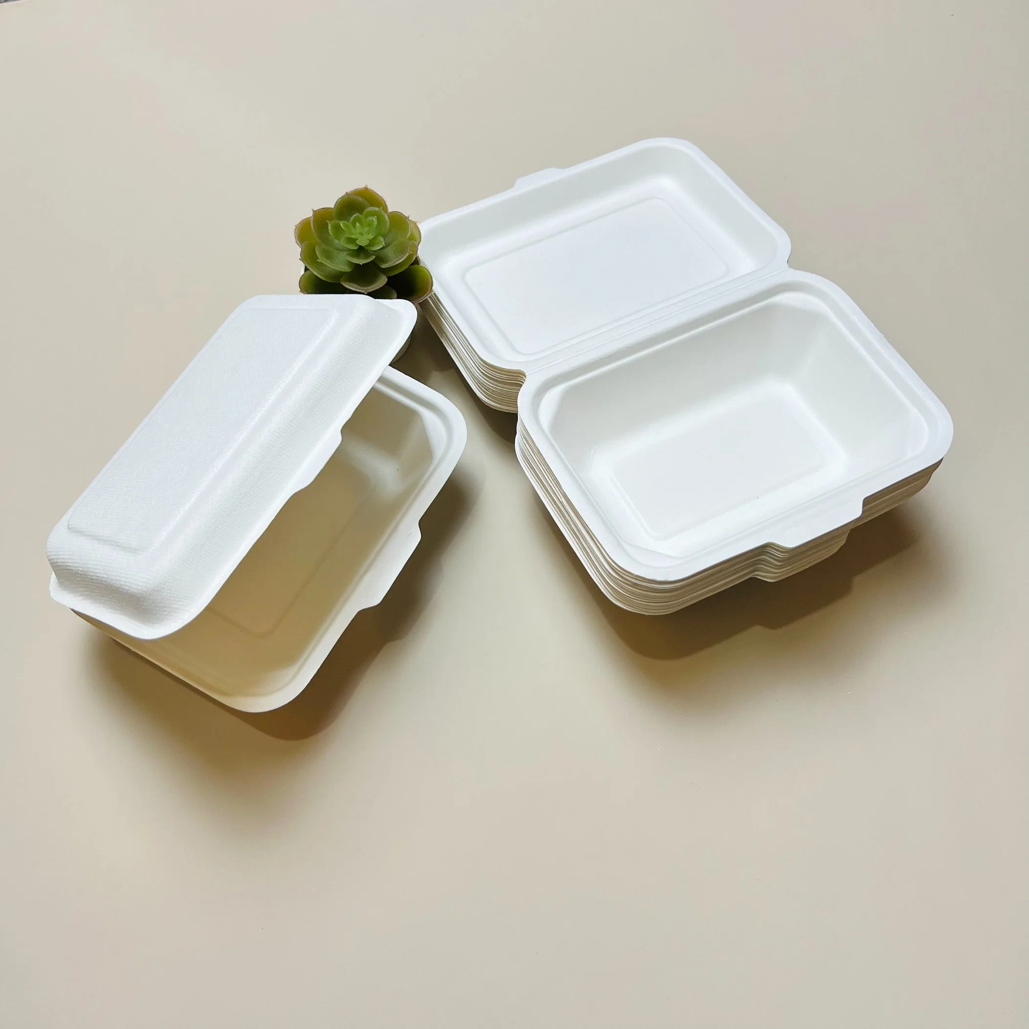 Compostable bagazo de caña Clamshell Restaurante suministro comida para llevar Embalaje Cajas Contenedores