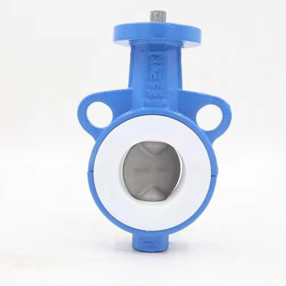 Handle Type Vertical Plate Ductile Iron Two Way Soft Seal Stainless Steel Disc Butterfly Valve