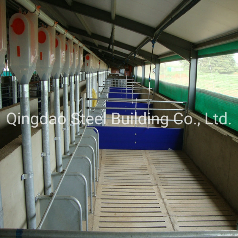 Design High quality/High cost performance  Steel Structure Building Steel Structure Pig Farm Building