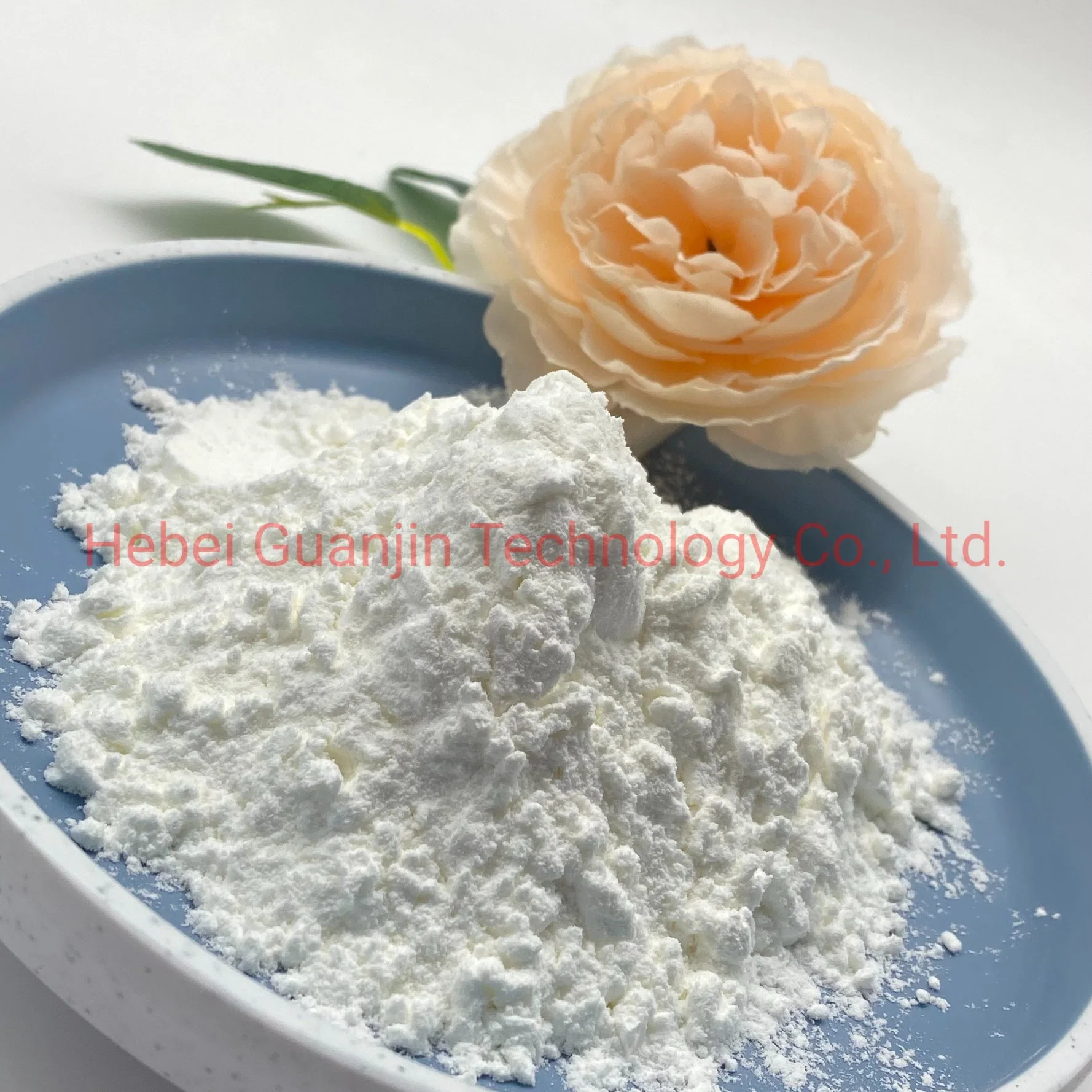 CAS 53124-00-8 fabricado en China almidón hidroxipropilo de alta pureza