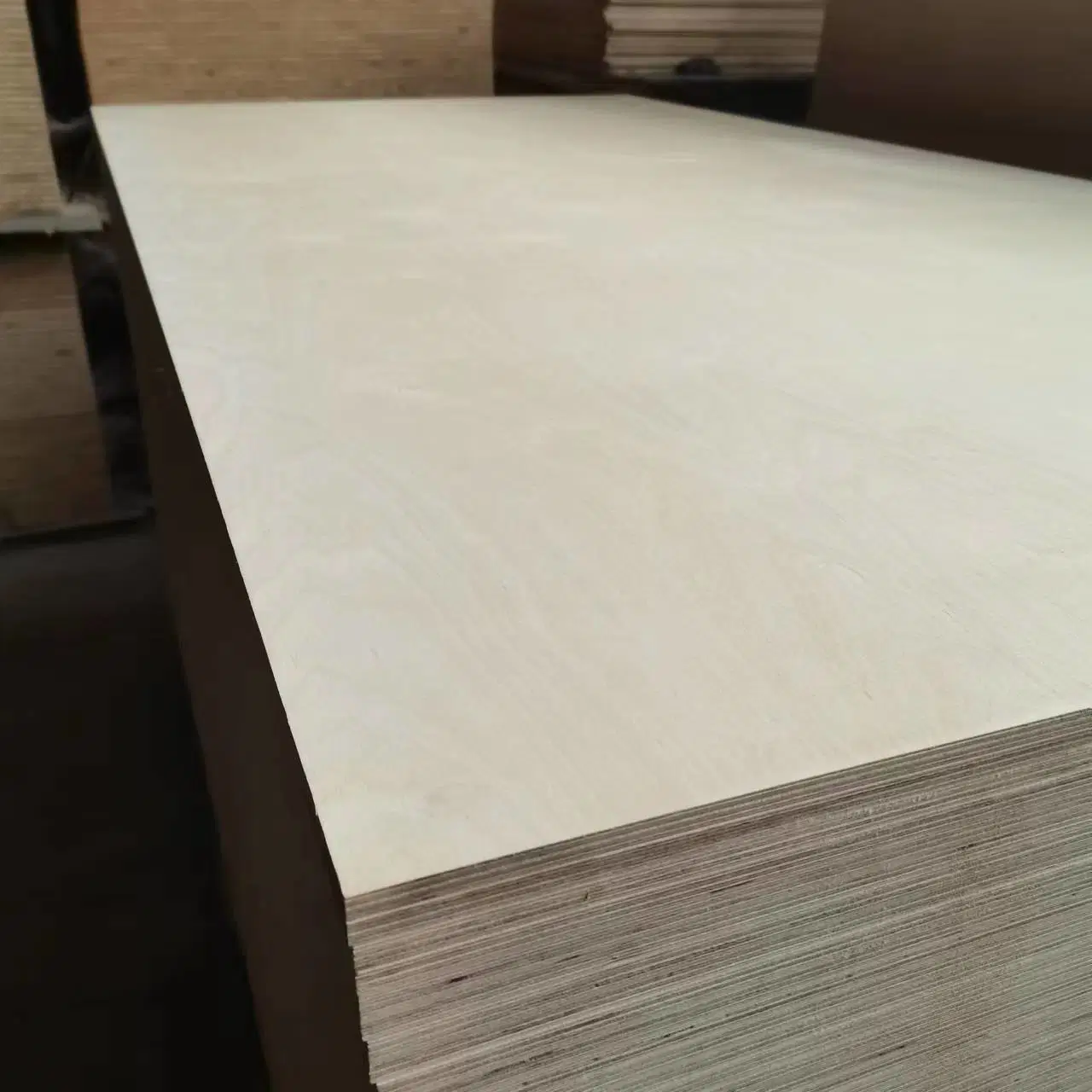 1525x1525mm Full Birch Plywood WBP colle pour fabricant de haute qualité