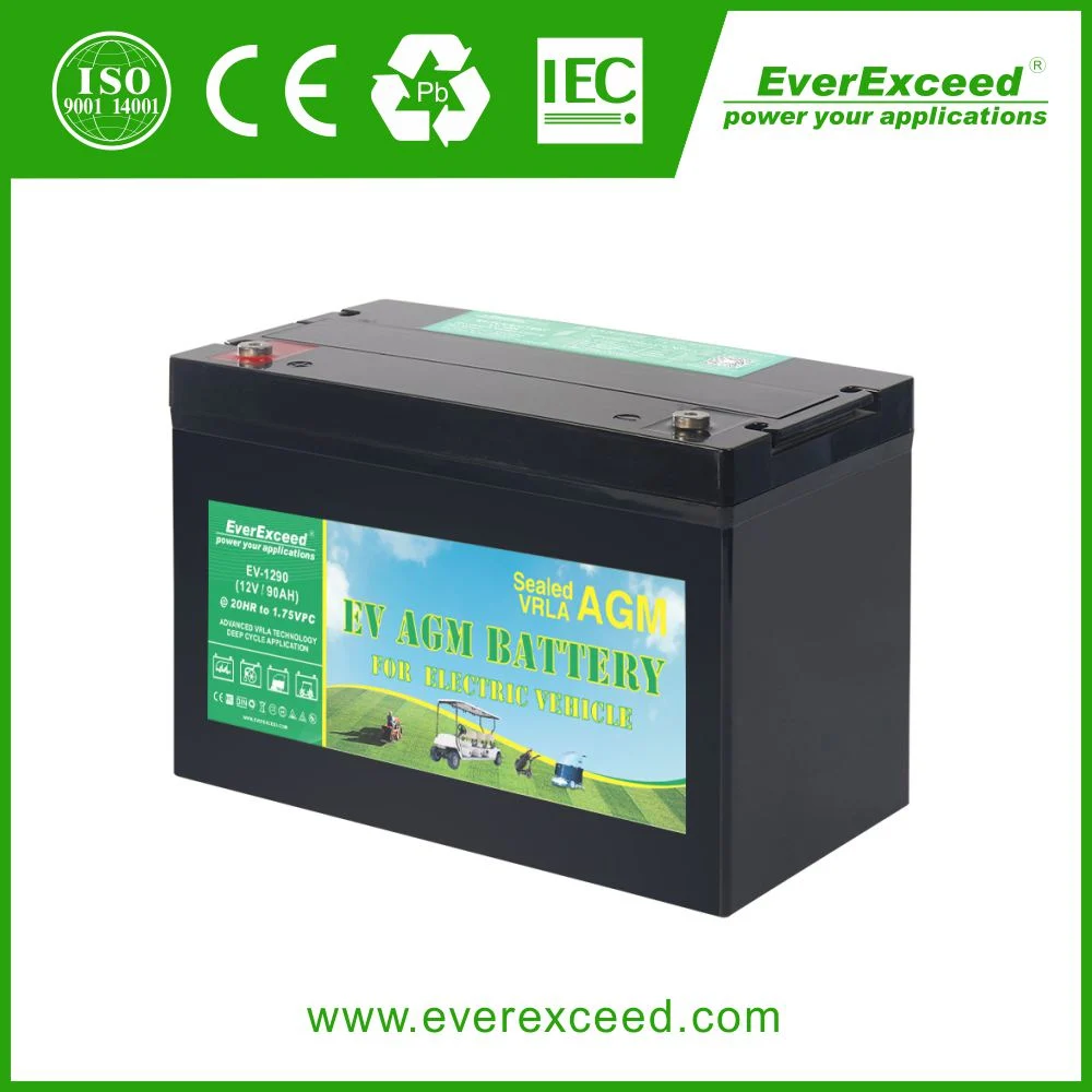 Everexceed 12V 80ah Deep-Cycle Gel Solar Battery VRLA/AGM/Rechargeable/UPS/Lead-Acid/Pack/6V/CSA