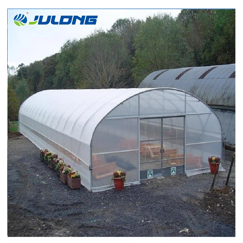 Agricultural Tunnel Single Span Plastic Film Greenhouse with Hydroponics System for Vegetabales and Flowers Planting