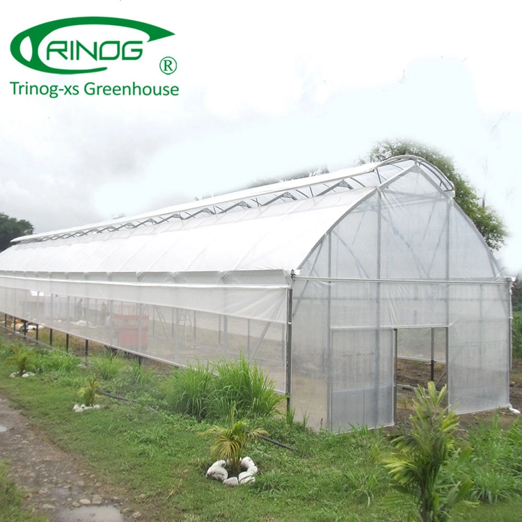 Trinog span único túnel de luz de gases com efeito de filme para explorações de aves de capoeira