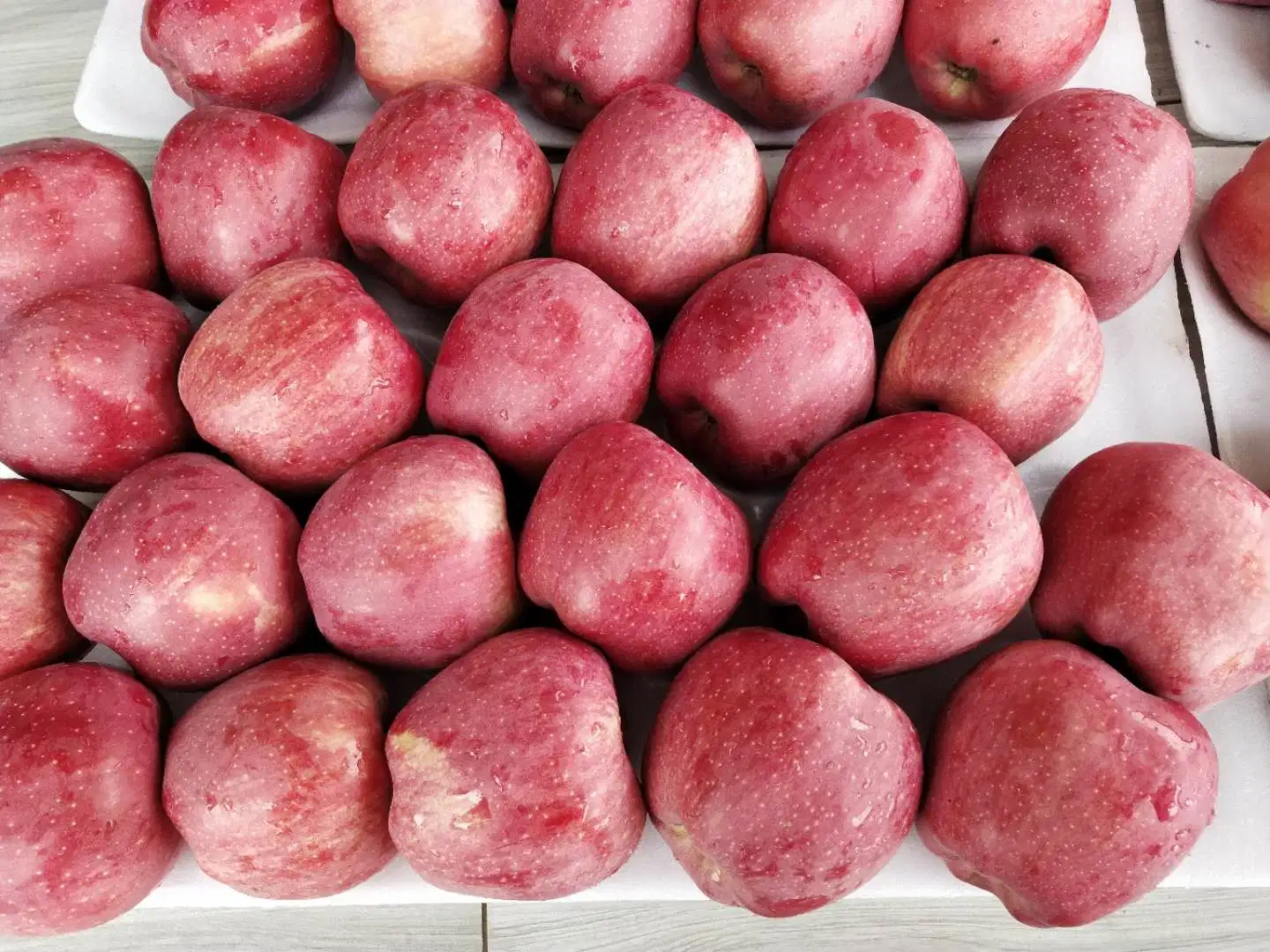 De buena calidad a todo color de Estrella Roja Manzana