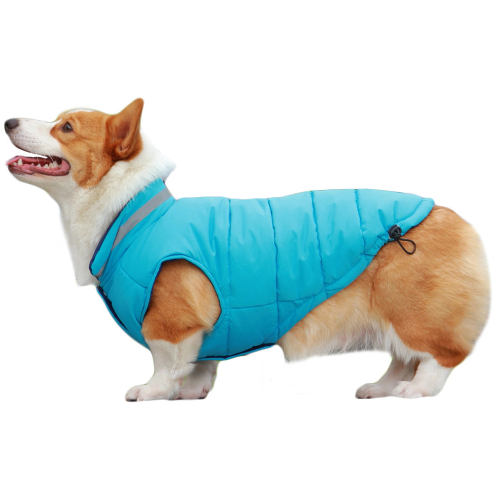 Winter Dog Coats Dog Apparel for Cold Weather