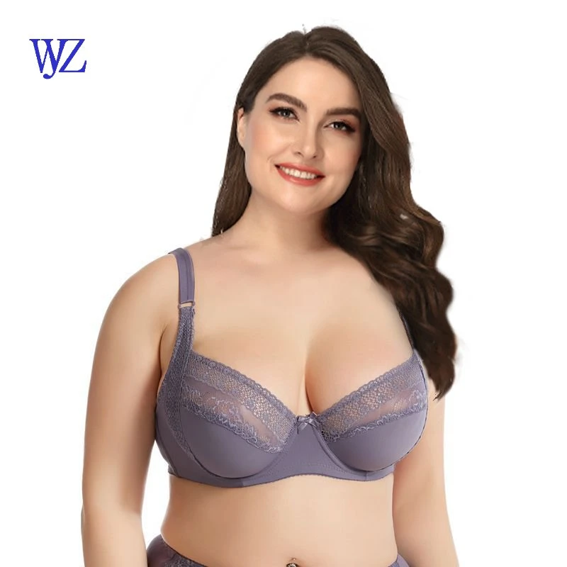 Best Quality Plus Size Skinton Bra Sexy Ladies Underwear Full Cup Lace Bra for Women