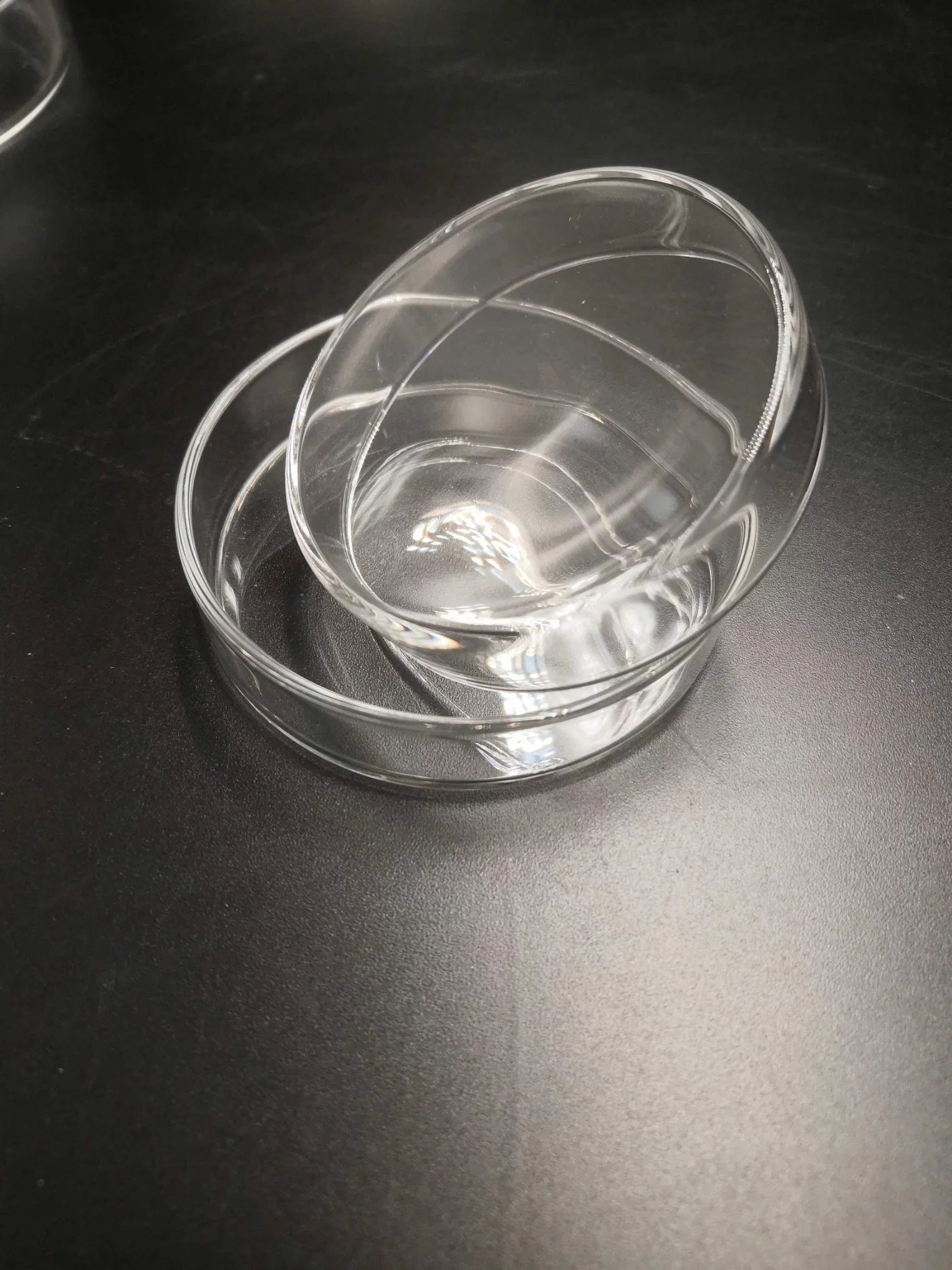 Cristalería placas Petri de laboratorio de vidrio de borosilicato de 90 mm con tapa