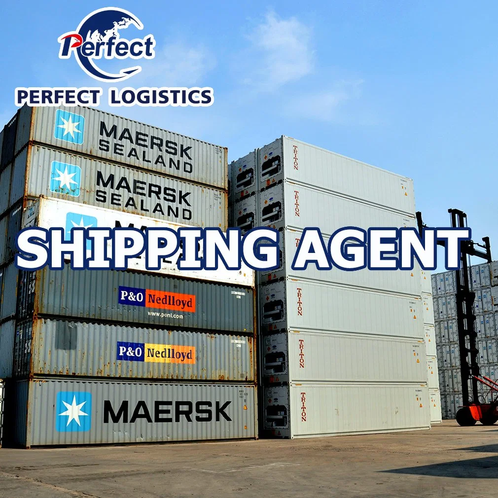 Ocean Shipping Fowarding Agent From China to Estonia/UK