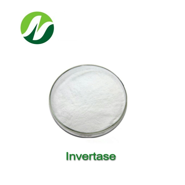 Top Grade Lebensmittelzusatzstoff 9001-57-4 Invertase Enzym Pulver