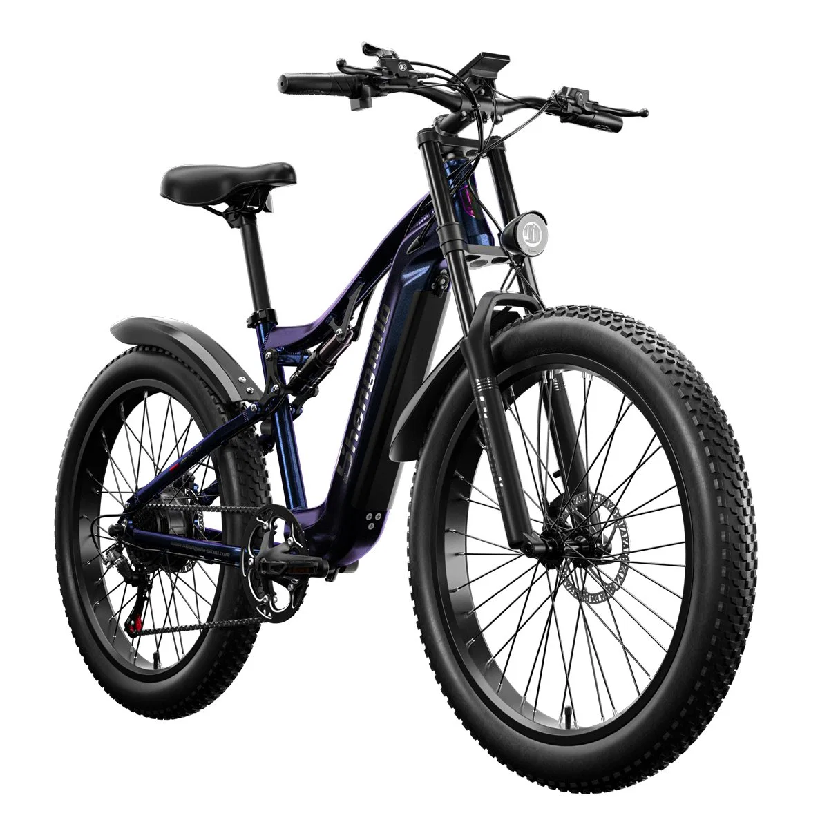 15ah Long Rang Fat Tire Ebike Electric Dirt Bike