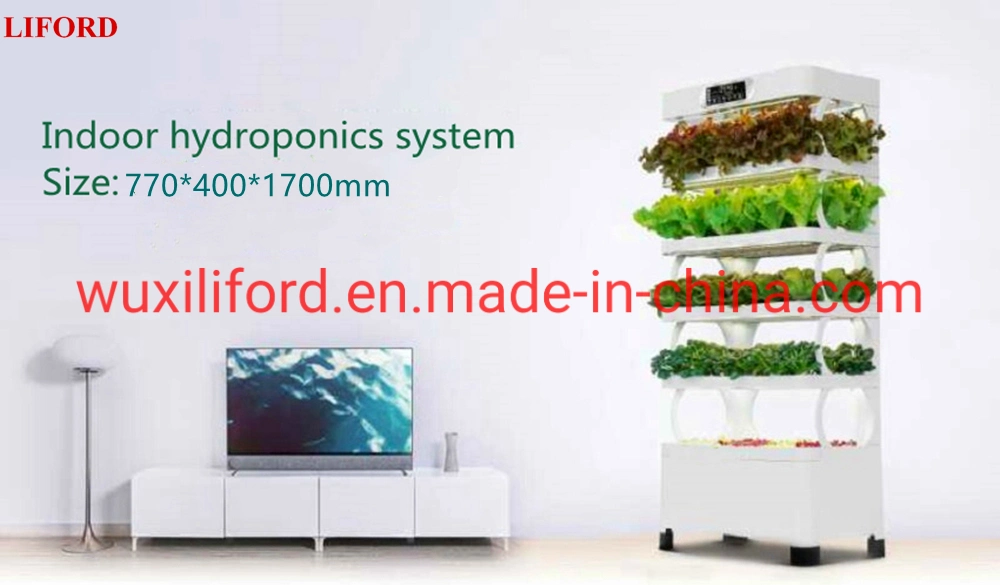 China Factory Price Indoor Garden Hydroponics System with LED