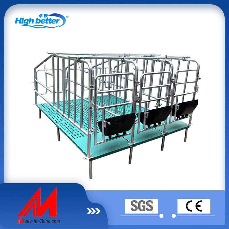 Animal Cage Double Pig Farrowing Crate Pig Cages Pig Farm Equipment