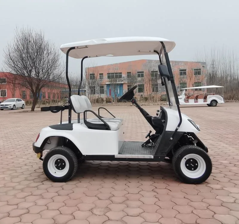 Wholesale/Suppliers Cheap Price Two Seats Golf Cart Ready to Ship Electric Golf Car