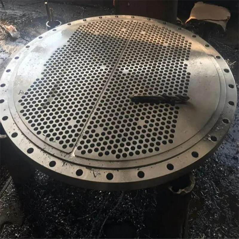 Custom Forged and Carbon Steel or Stainless Tube Sheet Manufacturer with Multi Hole Drilling for Heat Exchanger