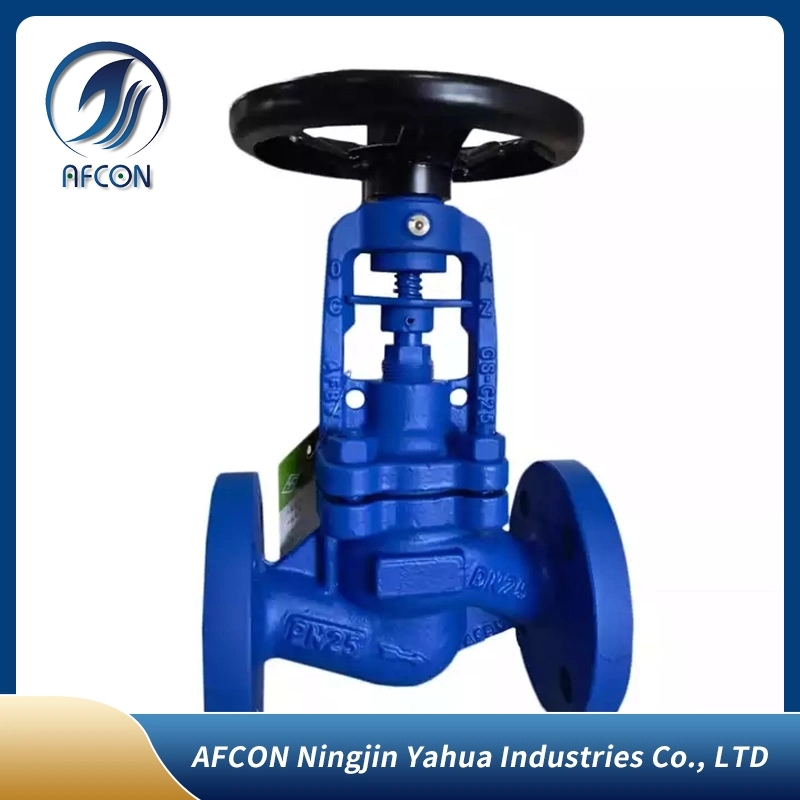 Industrial/Sanitary Full Bore Threaded Stainless Steel Floating Check Valve/Filter/Globe Valve