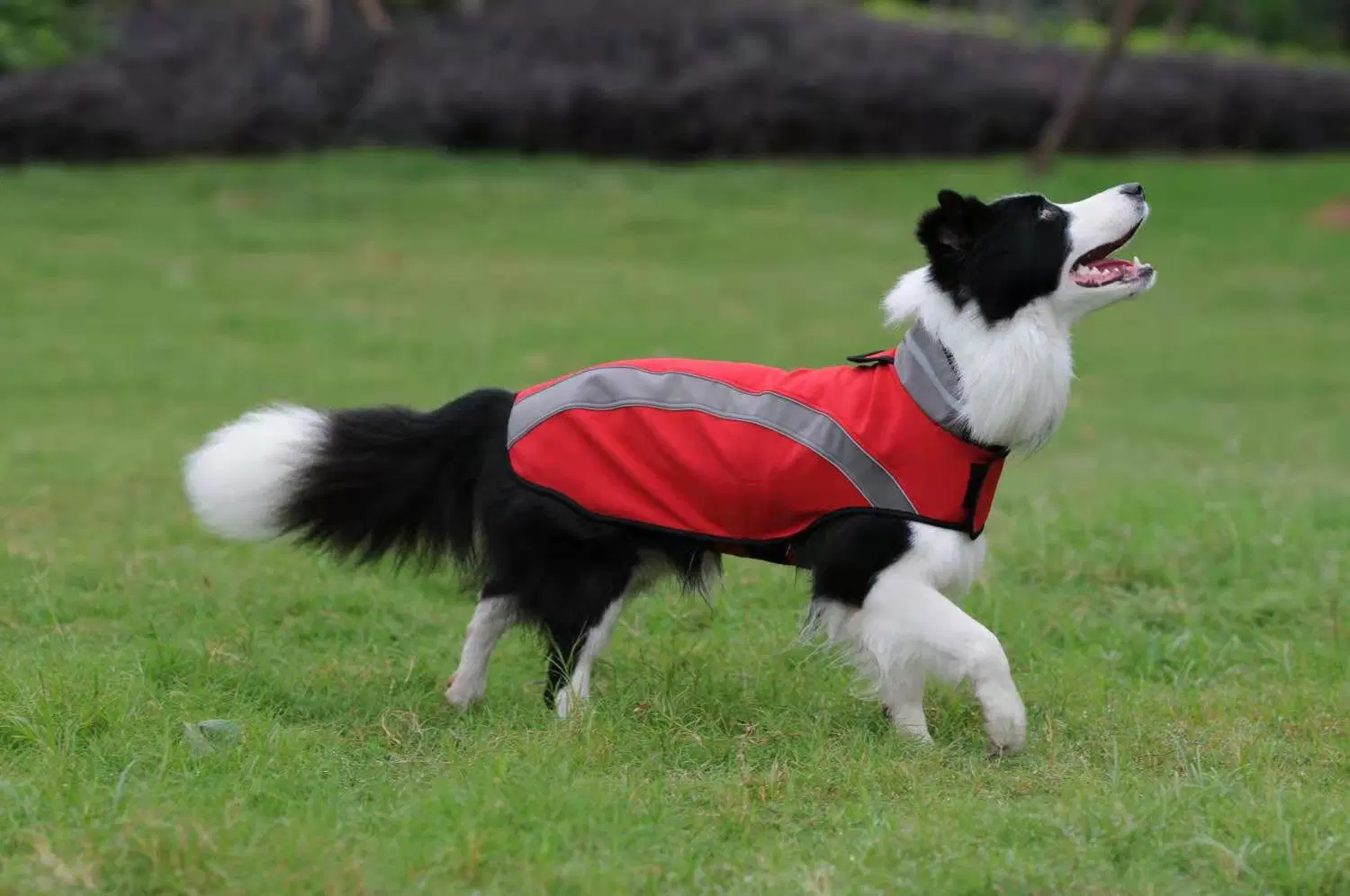 Herstellungskosten Personalisierte Haustier Tragen Jacke Bekleidung Hund Softshell Kleidung