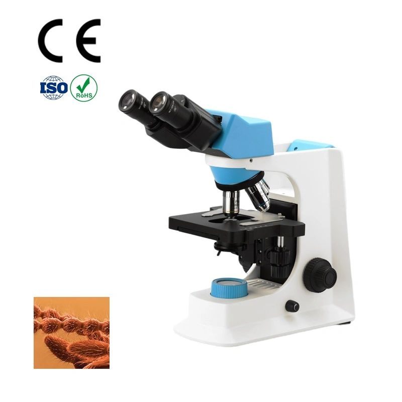 2000X Binocular Infinite Full Plan Biological Microscope (Smart-4LED)